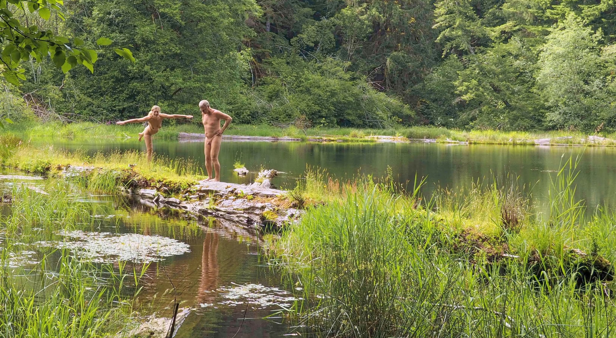 Lush Wasatch forest with a serene pond